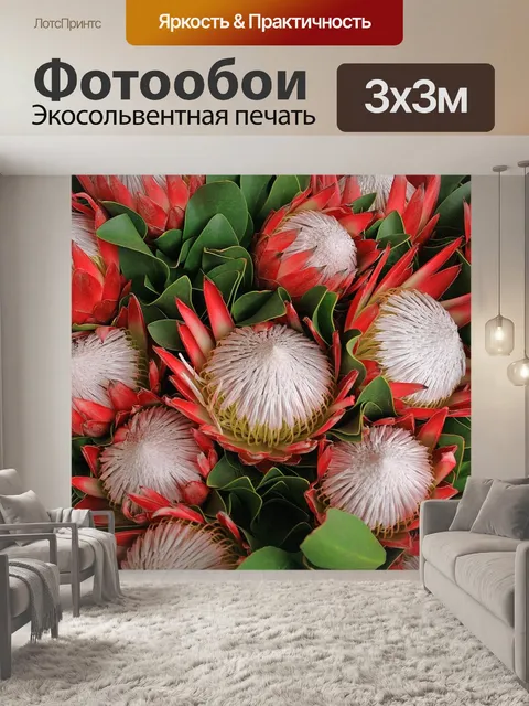 Фотообои Цветы протея