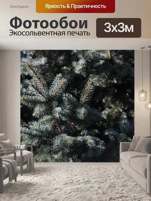 Фотообои Ель