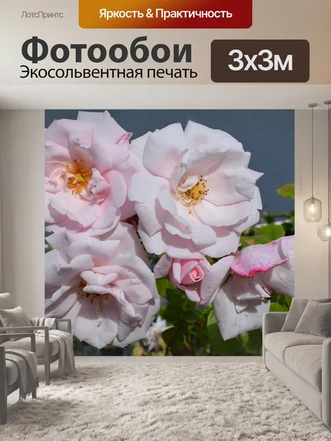 Фотообои Розы