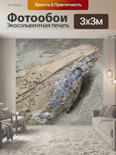 Фотообои Пляж