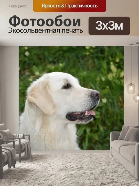 Фотообои Собака