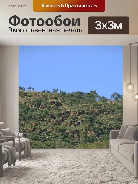 Фотообои гребень с неба и деревьев