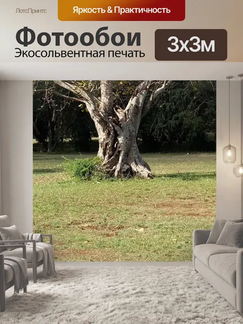 Фотообои Ствол