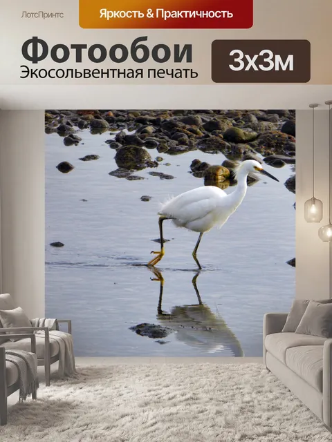 Фотообои эгрет