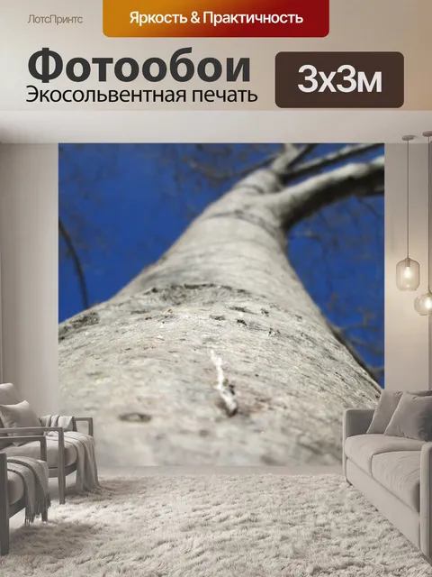 Фотообои Дерево Перспектива 4