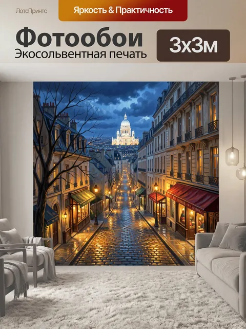 Фотообои Парижская улица к Собору