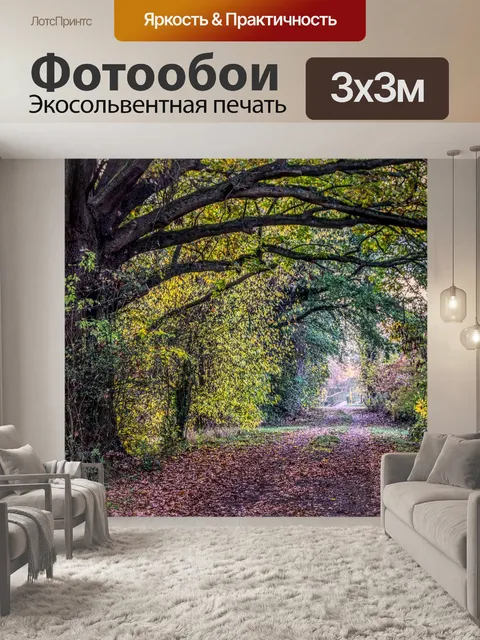 Фотообои Лесная тропа