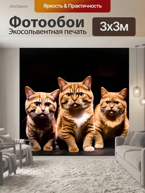 Фотообои коты, выступающие на сцене в театре