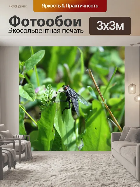 Фотообои Летать
