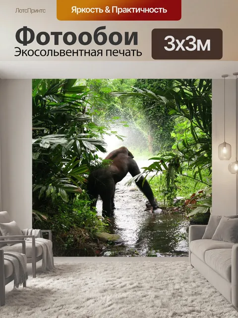 Фотообои Горилла