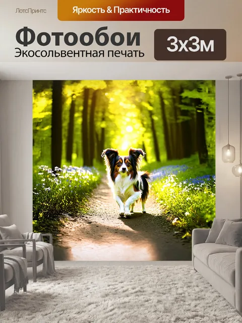 Фотообои папильон бродит по лесному тропинке, обрамлённому зелеными деревьями и яркими лесными цветами