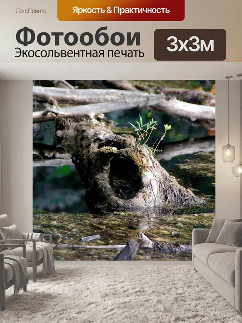 Фотообои Природа