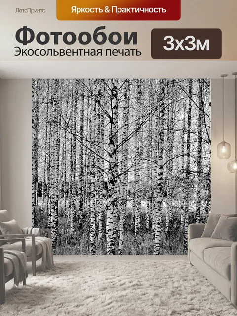 Фотообои Береза