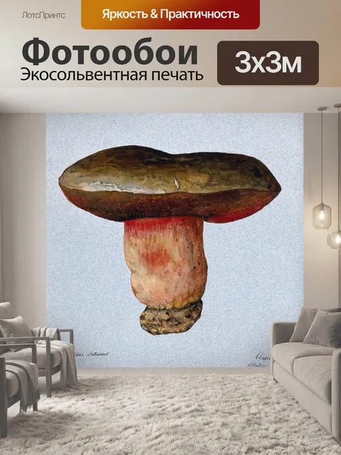 Фотообои Винтажная иллюстрация чемпиона грибов