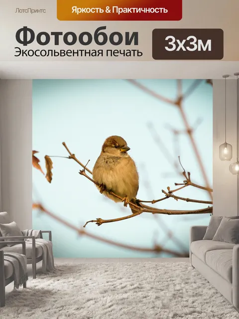 Фотообои Воробей в дереве