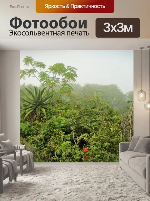 Фотообои туман все вокруг