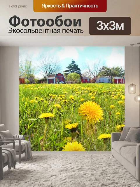 Фотообои Одуванчики