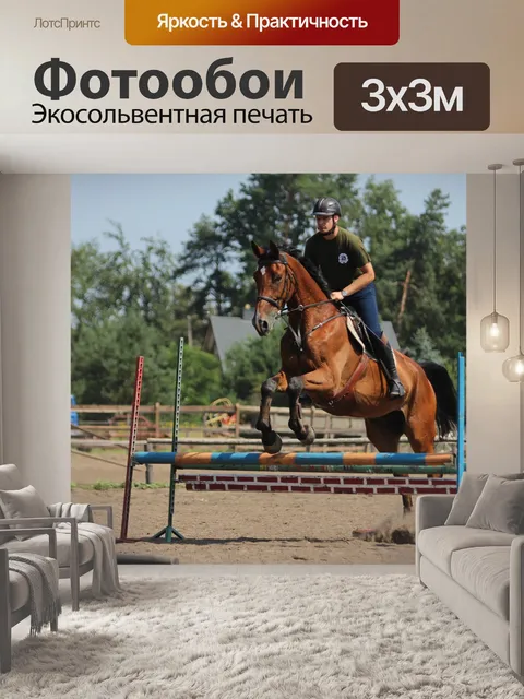 Фотообои Лошади