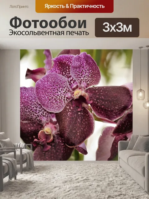 Фотообои Фиолетовые цветы орхидей