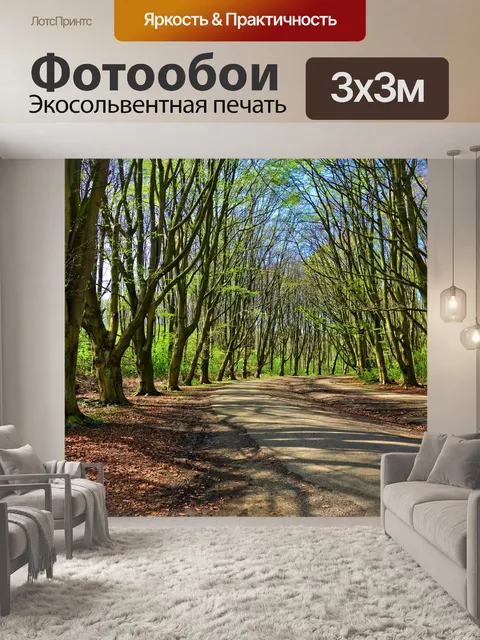 Фотообои Лес