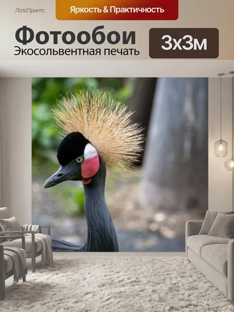 Фотообои Птица, журавль