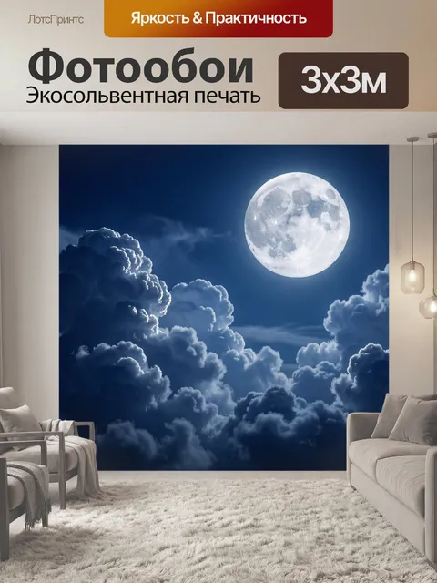 300 × 300 см · Экосольвентная печать