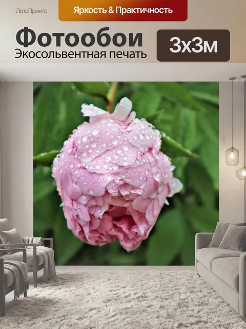 Фотообои Розы