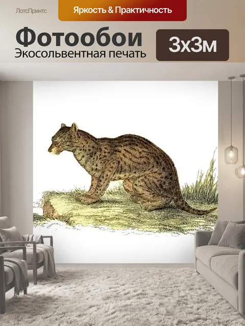 Фотообои Большая кошка кошка старинное искусство