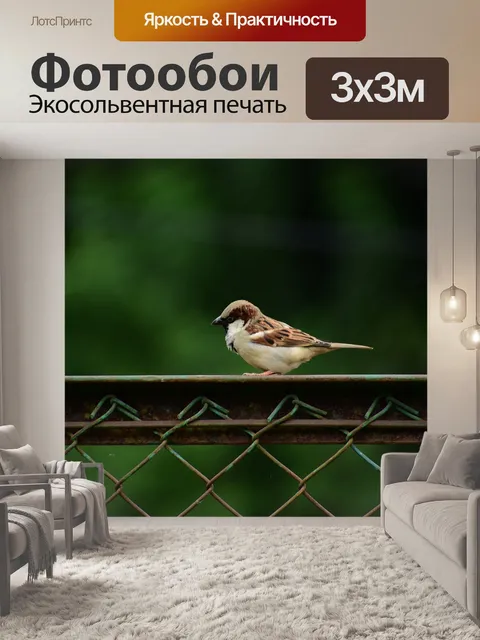 Фотообои Воробей