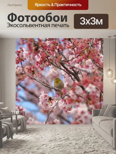 Фотообои Вишни в цвету