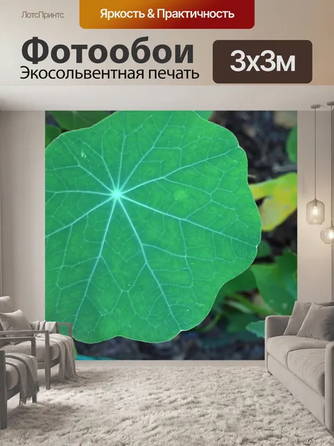 Фотообои лист настурции с радиальной сеткой