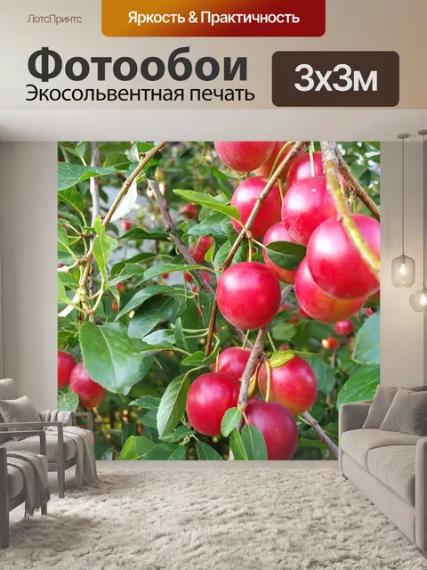 Фотообои Фрукты