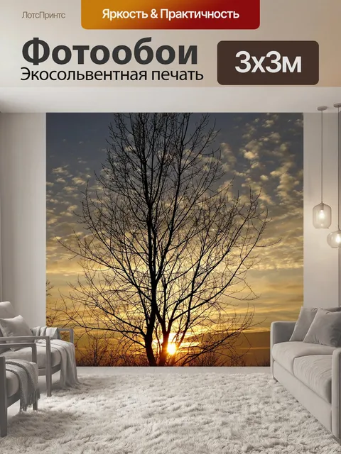 Фотообои Небо