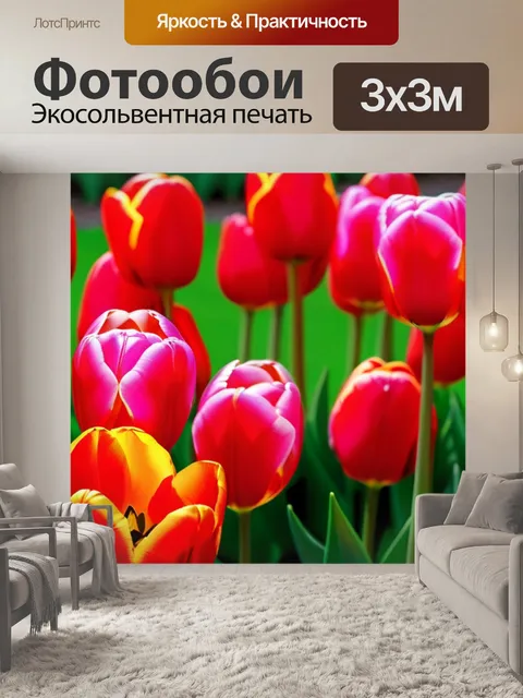 Фотообои тюльпаны в ярких цветах
