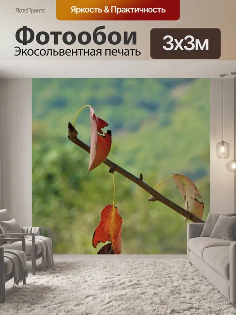 Фотообои Лист
