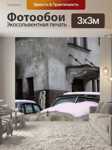 Фотообои Автомобиль зимой