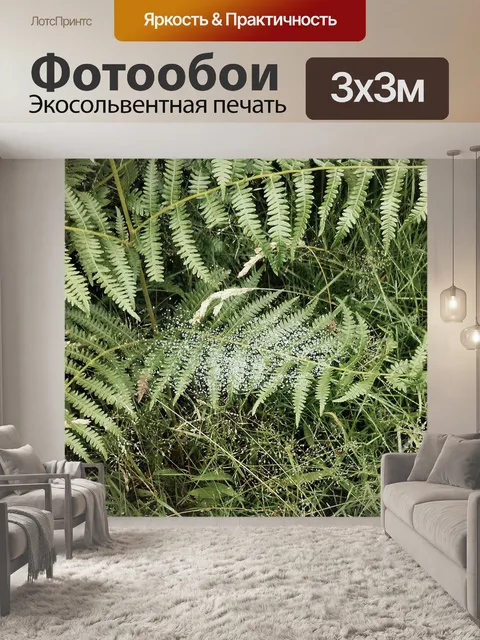 Фотообои Папоротник