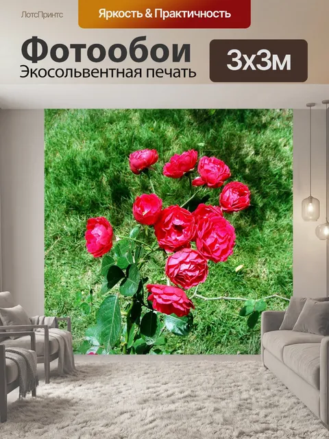 Фотообои Кнопка роуз