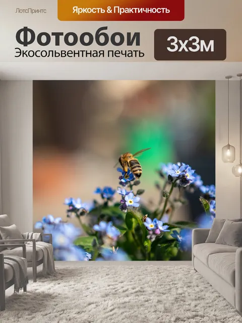 Фотообои Flower