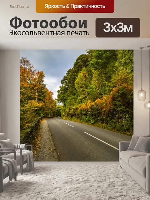 Фотообои Осенний лес Чистый Дорога