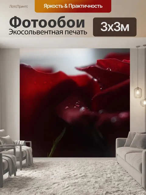 Фотообои Розы