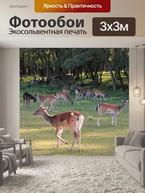 Фотообои Олень