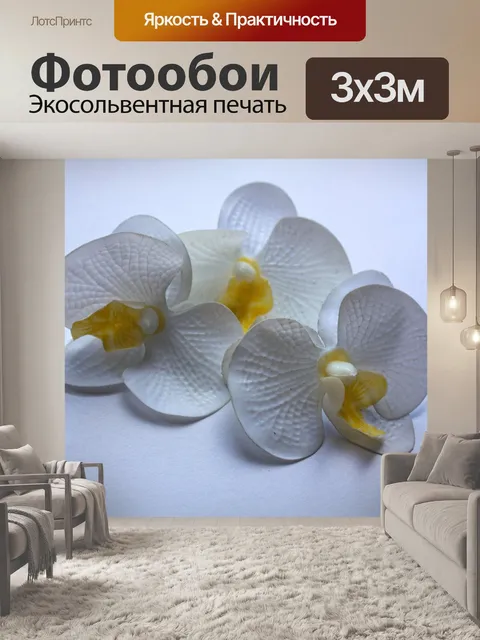Фотообои Цветы