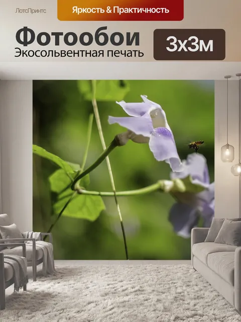 Фотообои Цветы