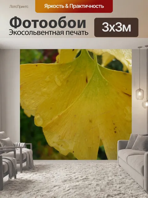 Фотообои Гинкго