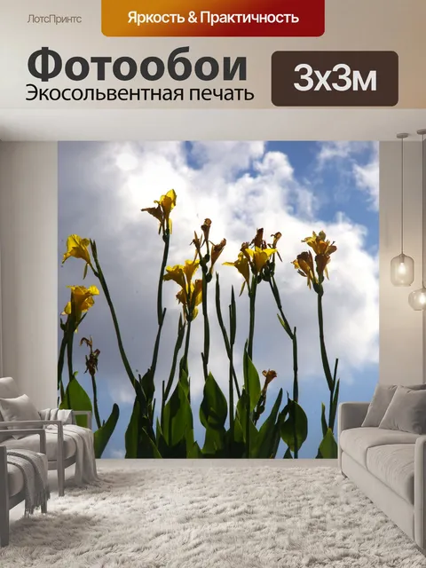 Фотообои Высокие желтые цветы лилии канны