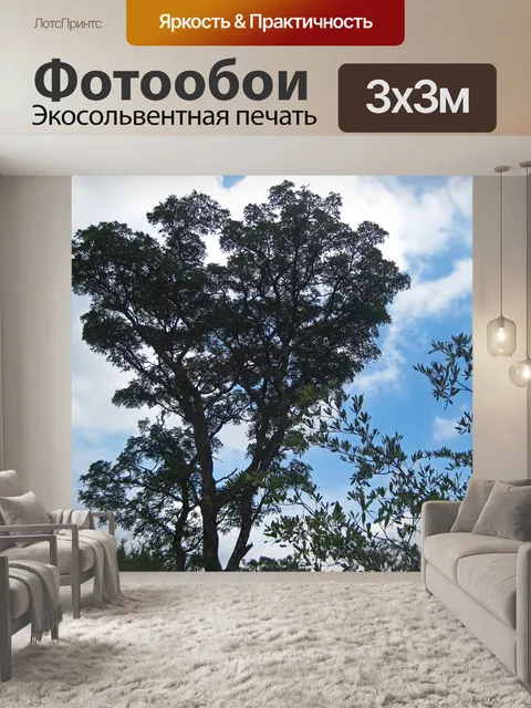 Фотообои высокое дерево на белом облаке