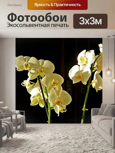 Фотообои Орхидеи