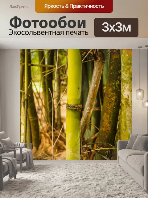 Фотообои Бамбуковый лес природа фон