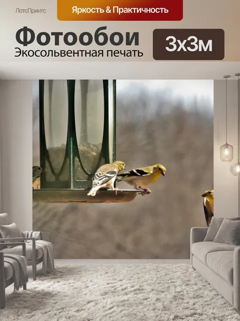 Фотообои Щегол в полете к фидеру